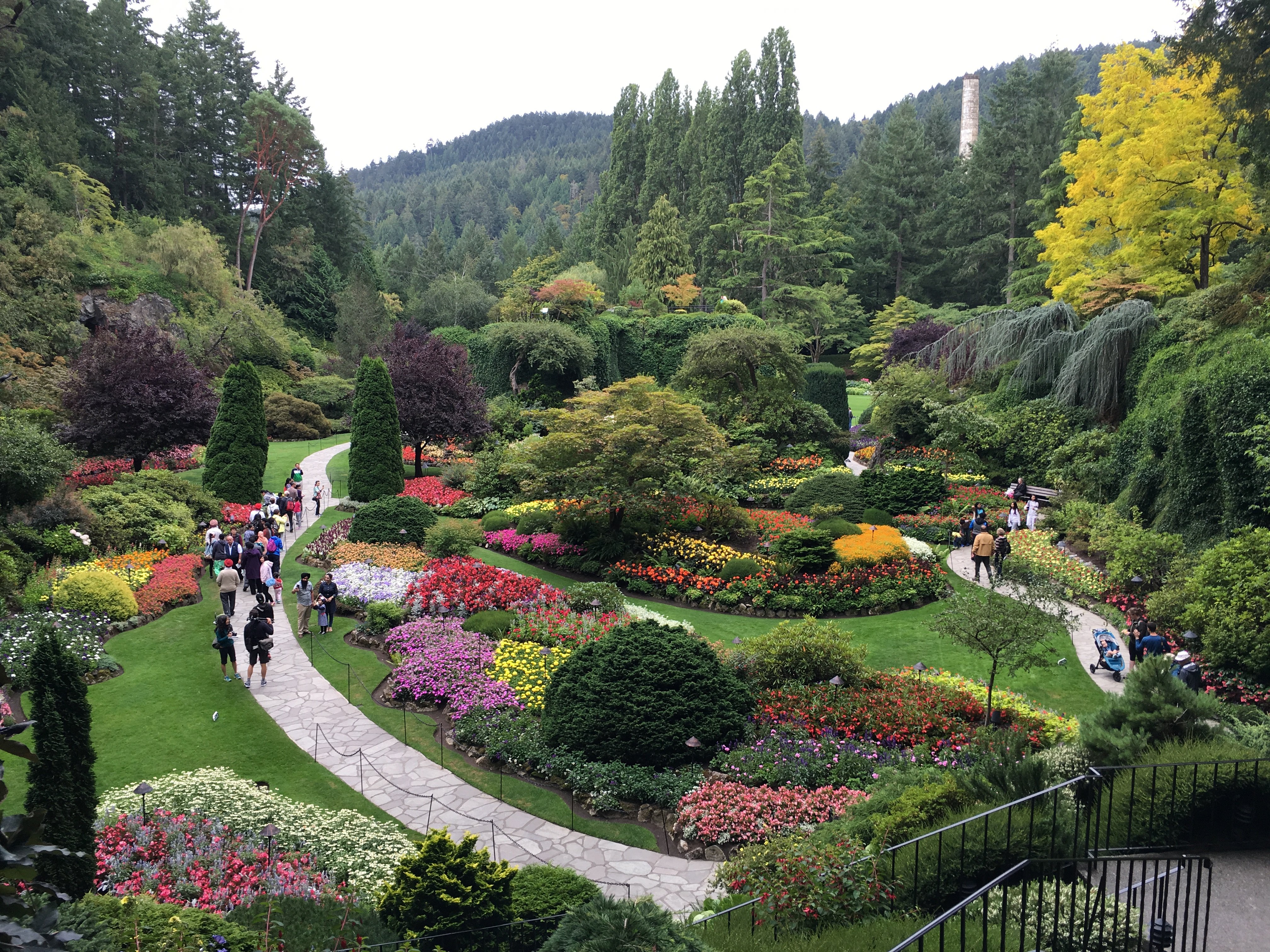 Picture of a botanical garden